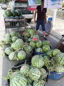 大连爆料吃瓜事件,吃瓜群众揭秘事件背后真相